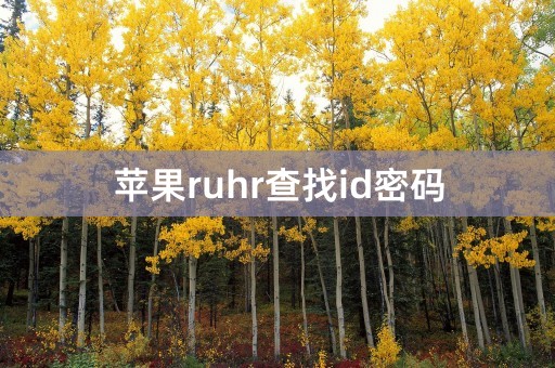 苹果ruhr查找id密码