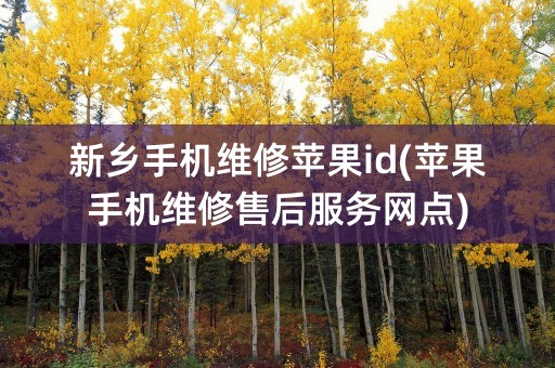 新乡手机维修苹果id(苹果手机维修售后服务网点)