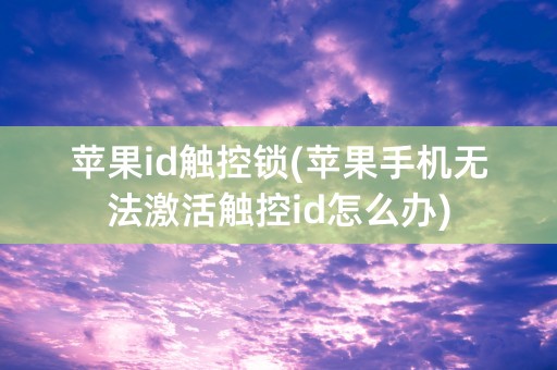 苹果id触控锁(苹果手机无法激活触控id怎么办)