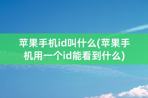 苹果手机id叫什么(苹果手机用一个id能看到什么)