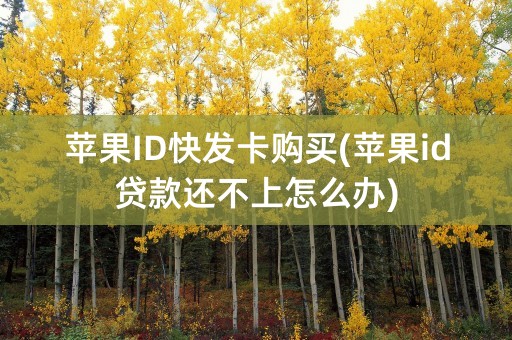 苹果ID快发卡购买(苹果id贷款还不上怎么办)