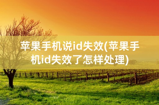 苹果手机说id失效(苹果手机id失效了怎样处理)