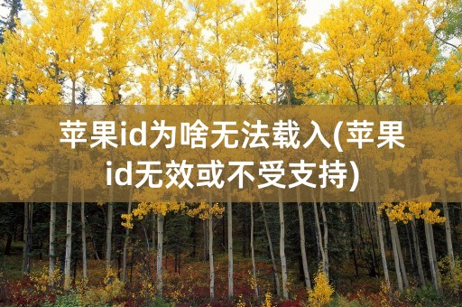 苹果id为啥无法载入(苹果id无效或不受支持)