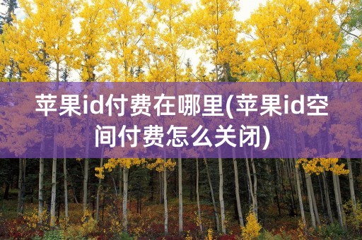 苹果id付费在哪里(苹果id空间付费怎么关闭)