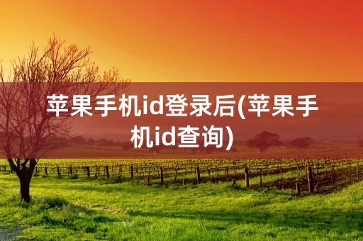 苹果手机id登录后(苹果手机id查询)