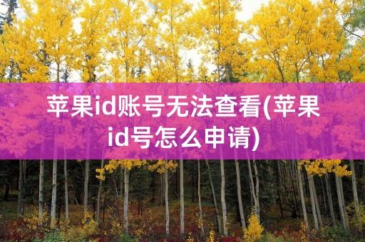 苹果id账号无法查看(苹果id号怎么申请)