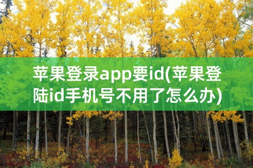 苹果登录app要id(苹果登陆id手机号不用了怎么办)