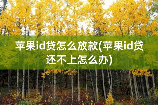 苹果id贷怎么放款(苹果id贷还不上怎么办)