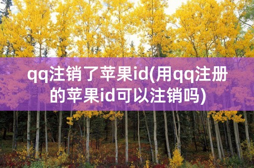 qq注销了苹果id(用qq注册的苹果id可以注销吗)