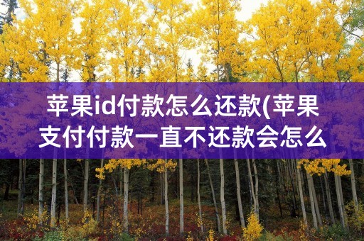 苹果id付款怎么还款(苹果支付付款一直不还款会怎么样)