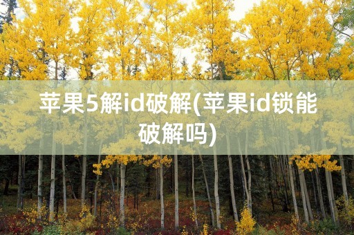 苹果5解id破解(苹果id锁能破解吗)