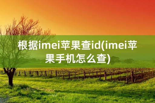 根据imei苹果查id(imei苹果手机怎么查)