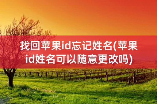 找回苹果id忘记姓名(苹果id姓名可以随意更改吗)