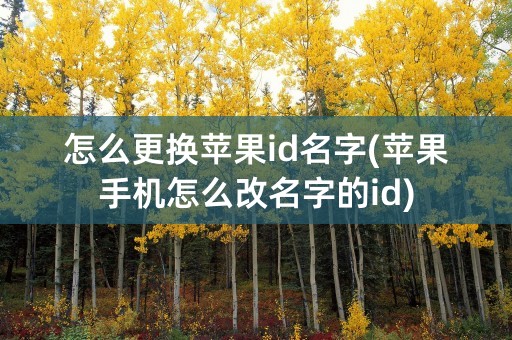 怎么更换苹果id名字(苹果手机怎么改名字的id)