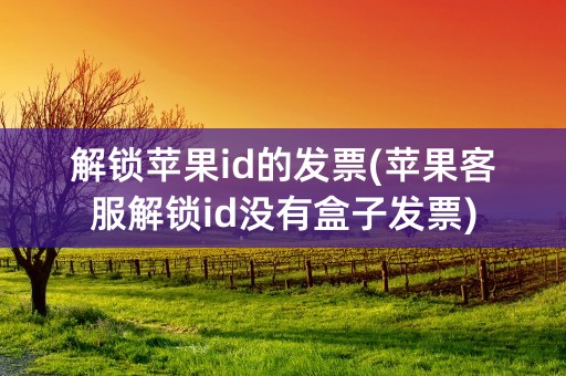 解锁苹果id的发票(苹果客服解锁id没有盒子发票)