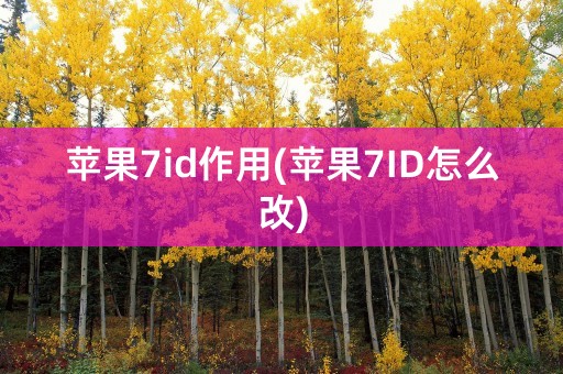 苹果7id作用(苹果7ID怎么改)