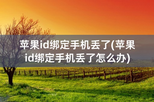 苹果id绑定手机丢了(苹果id绑定手机丢了怎么办)