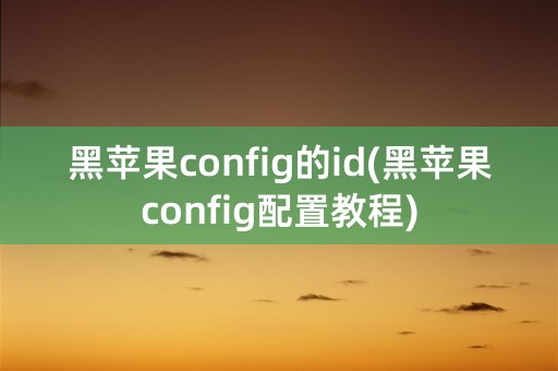 黑苹果config的id(黑苹果config配置教程)