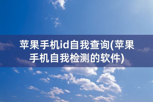 苹果手机id自我查询(苹果手机自我检测的软件)