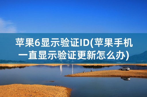 苹果6显示验证ID(苹果手机一直显示验证更新怎么办)