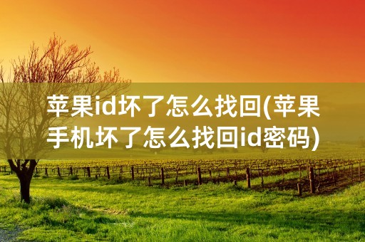 苹果id坏了怎么找回(苹果手机坏了怎么找回id密码)