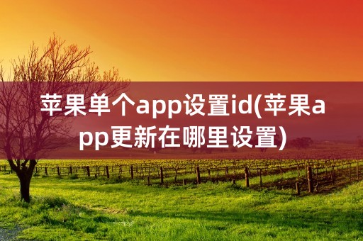 苹果单个app设置id(苹果app更新在哪里设置)