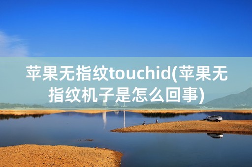 苹果无指纹touchid(苹果无指纹机子是怎么回事)