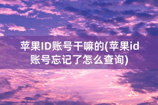 苹果ID账号干嘛的(苹果id账号忘记了怎么查询)