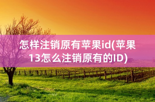 怎样注销原有苹果id(苹果13怎么注销原有的ID)