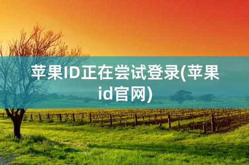 苹果ID正在尝试登录(苹果id官网)