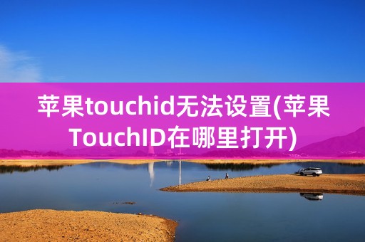 苹果touchid无法设置(苹果TouchID在哪里打开)