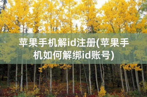 苹果手机解id注册(苹果手机如何解绑id账号)