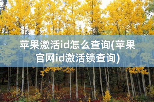 苹果激活id怎么查询(苹果官网id激活锁查询)