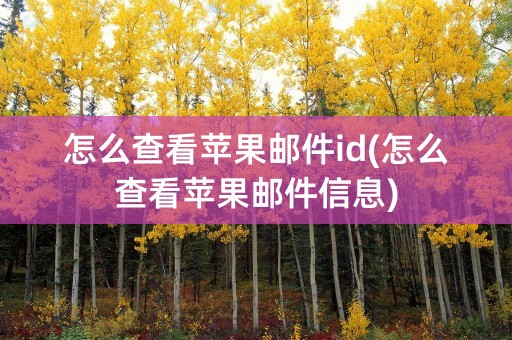 怎么查看苹果邮件id(怎么查看苹果邮件信息)