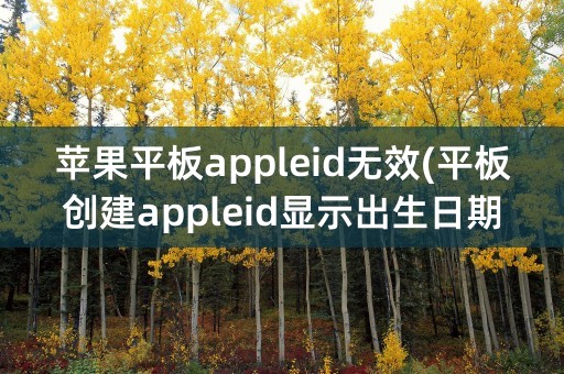 苹果平板appleid无效(平板创建appleid显示出生日期无效)