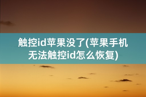 触控id苹果没了(苹果手机无法触控id怎么恢复)