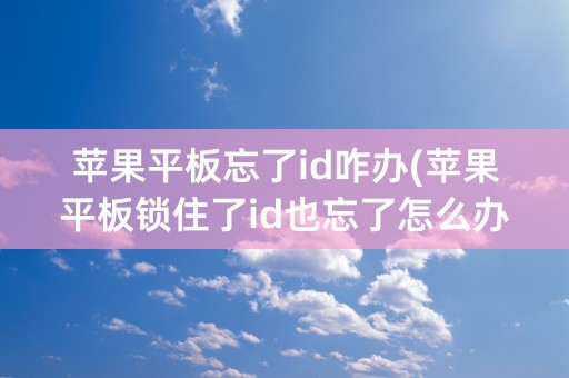 苹果平板忘了id咋办(苹果平板锁住了id也忘了怎么办)