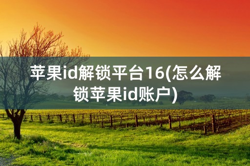 苹果id解锁平台16(怎么解锁苹果id账户)