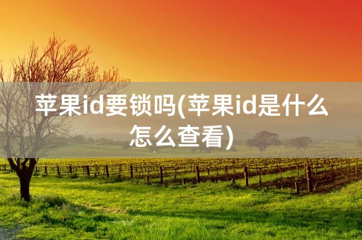 苹果id要锁吗(苹果id是什么怎么查看)