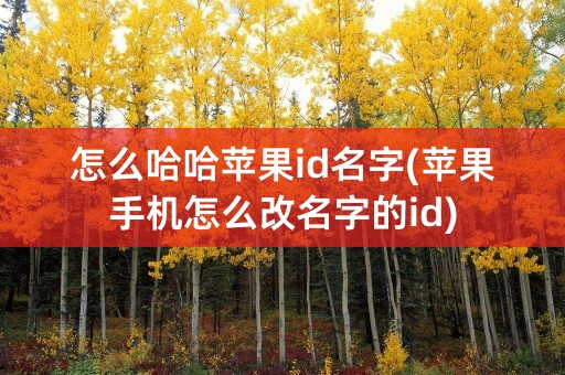 怎么哈哈苹果id名字(苹果手机怎么改名字的id)