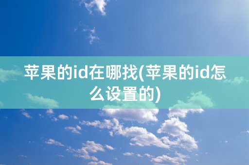 苹果的id在哪找(苹果的id怎么设置的)