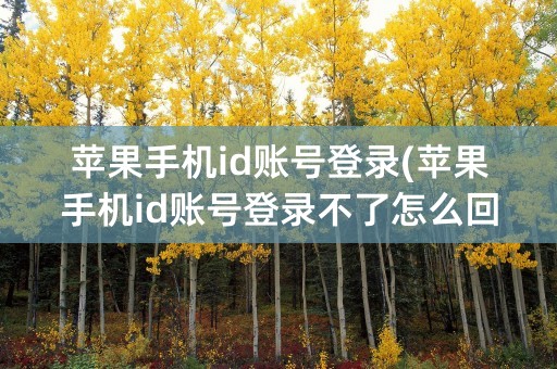 苹果手机id账号登录(苹果手机id账号登录不了怎么回事)