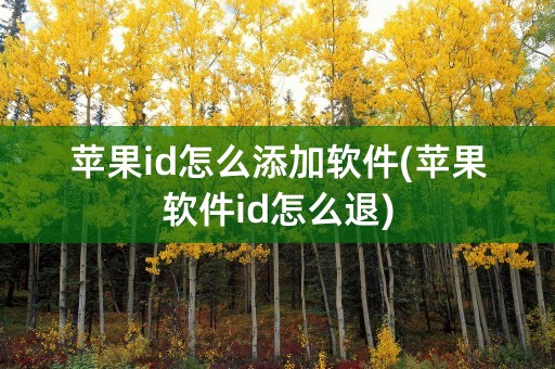 苹果id怎么添加软件(苹果软件id怎么退)