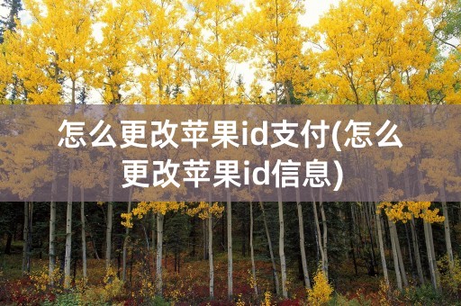 怎么更改苹果id支付(怎么更改苹果id信息)