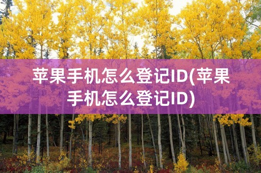 苹果手机怎么登记ID(苹果手机怎么登记ID)