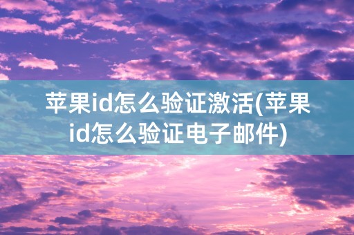 苹果id怎么验证激活(苹果id怎么验证电子邮件)