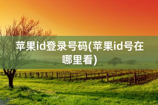 苹果id登录号码(苹果id号在哪里看)