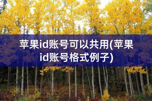 苹果id账号可以共用(苹果id账号格式例子)