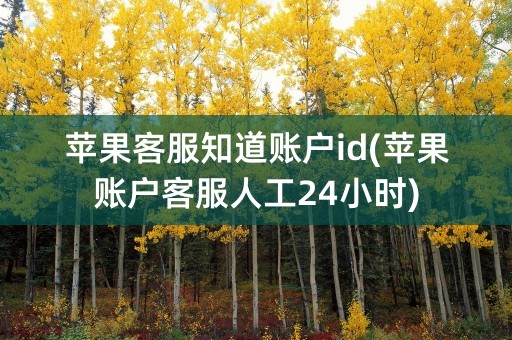 苹果客服知道账户id(苹果账户客服人工24小时)