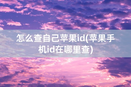 怎么查自己苹果id(苹果手机id在哪里查)